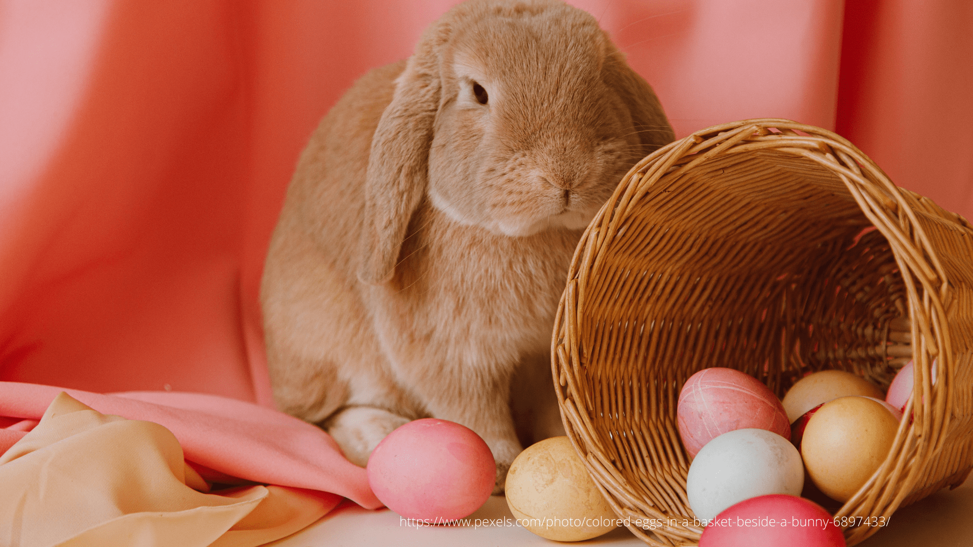 We wish a Happy Easter 2023