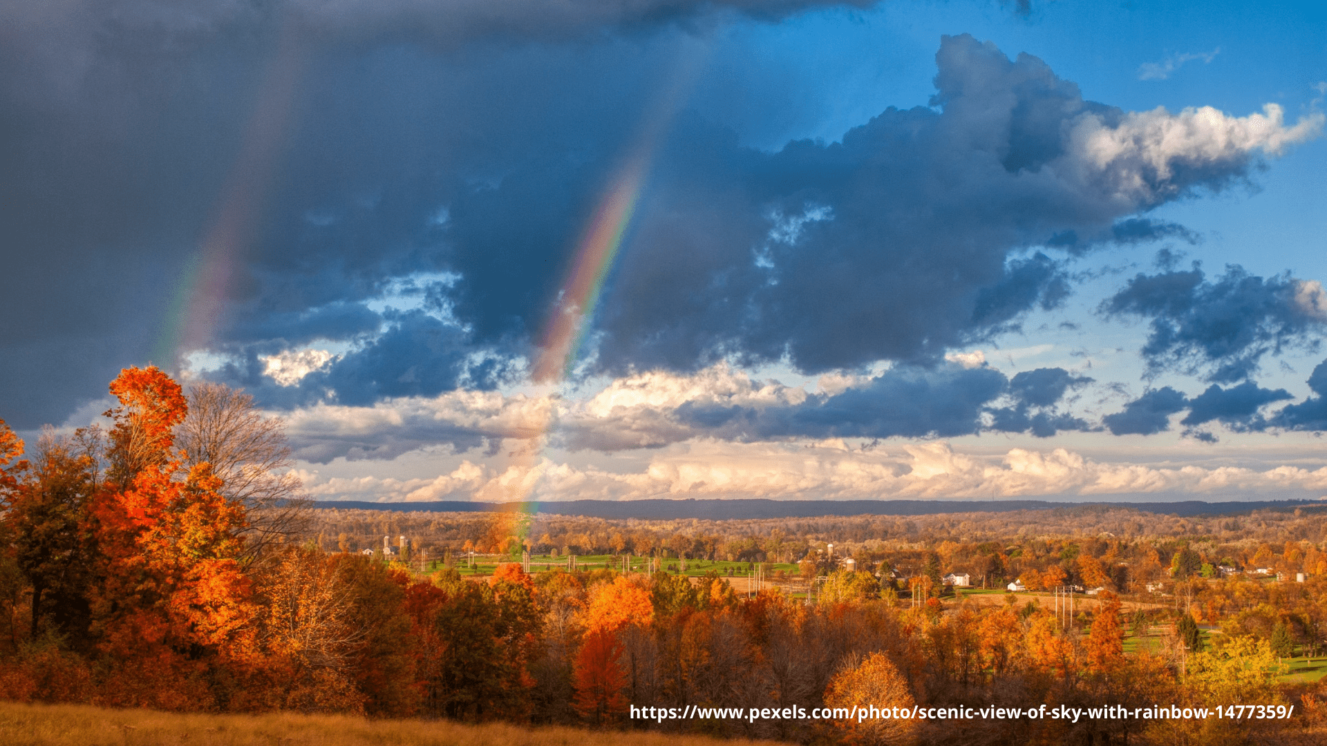 We are sending our best wishes on First Day of Autumn 2023